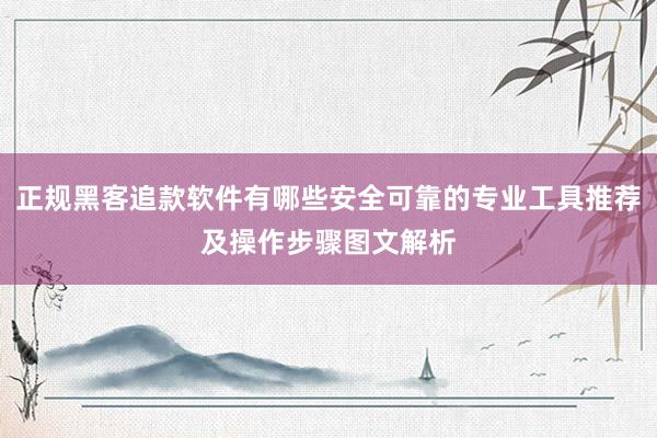 正规黑客追款软件有哪些安全可靠的专业工具推荐及操作步骤图文解析